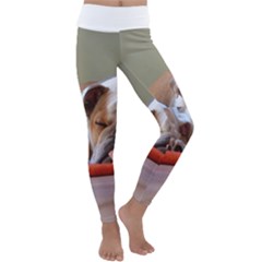 2 Sleeping Bulldogs Kids  Lightweight Velour Classic Yoga Leggings by SomethingForEveryone