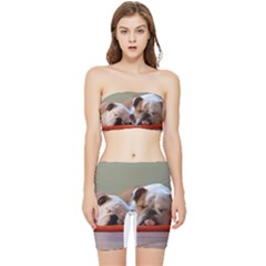 2 Sleeping Bulldogs Stretch Shorts And Tube Top Set