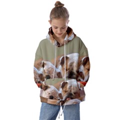 2 Sleeping Bulldogs Kids  Oversized Hoodie