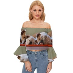 2 Sleeping Bulldogs Off Shoulder Flutter Bell Sleeve Top