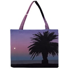 Sunset Coastal Scene, Montevideo Uruguay Mini Tote Bag by dflcprintsclothing