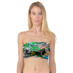 Point Of Entry 4 Bandeau Top