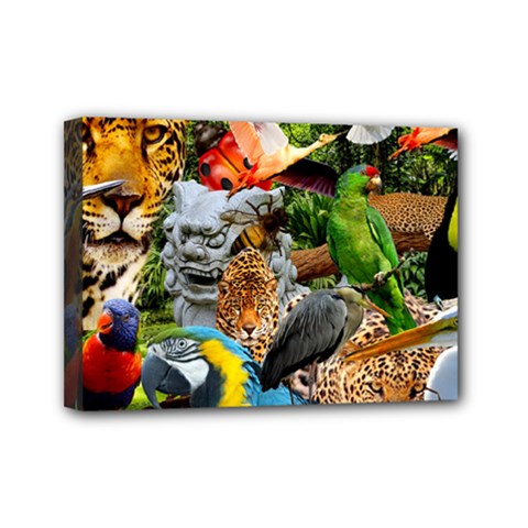 Amazonia Mini Canvas 7  X 5  (stretched) by impacteesstreetwearcollage