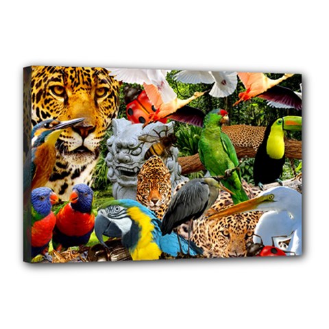 Amazonia Canvas 18  X 12  (stretched) by impacteesstreetwearcollage