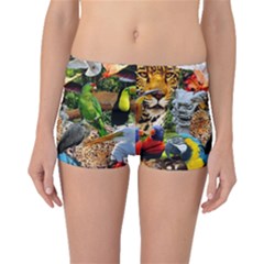 Amazonia Boyleg Bikini Bottoms by impacteesstreetwearcollage