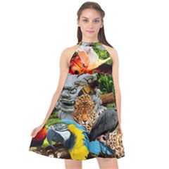 Amazonia Halter Neckline Chiffon Dress 