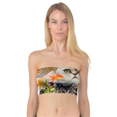 Aquarium Life Cropped Bandeau Top by impacteesstreetwearcollage