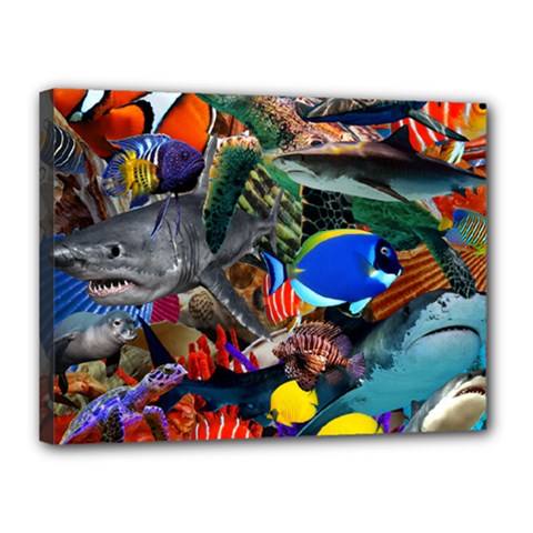 Under The Sea 5 Canvas 16  X 12  (stretched) by impacteesstreetwearcollage