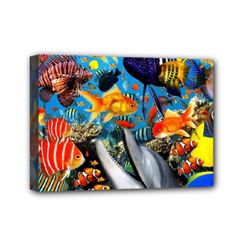 Under The Sea 4 Mini Canvas 7  X 5  (stretched) by impacteesstreetwearcollage