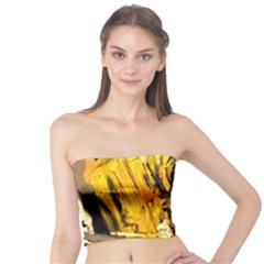 Dscf5559 - Edited Tube Top by bestdesignintheworld