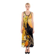 Dscf5559 - Edited Sleeveless Maxi Dress by bestdesignintheworld