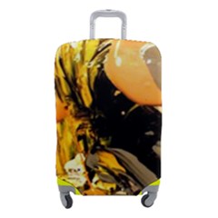 Dscf5559 - Edited Luggage Cover (small)