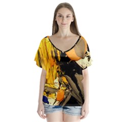 Dscf5559 - Edited V-neck Flutter Sleeve Top by bestdesignintheworld