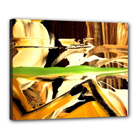 Grasshopper-1-1 Canvas 20  X 16  (stretched) by bestdesignintheworld