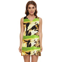 Grasshopper-1-1 Tiered Sleeveless Mini Dress