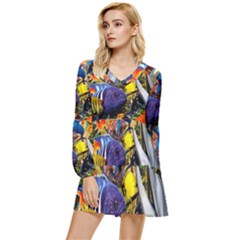 The Life Aquatic Tiered Long Sleeve Mini Dress