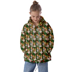 Dindollygreen Kids  Oversized Hoodie