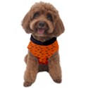 Halloween, Black bats pattern on orange Dog Sweater View1