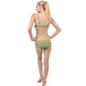 Stereo Green Gold Layered Top Bikini Set View2