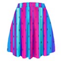 Warped Stripy Dots High Waist Skirt View2