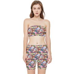 Retro Color Stretch Shorts And Tube Top Set