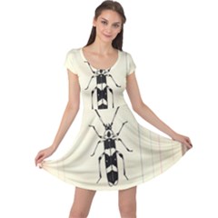 Banded Alder Borer  Cap Sleeve Dress by Limerence