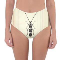 Banded Alder Borer  Reversible High-waist Bikini Bottoms by Limerence