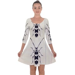 Banded Alder Borer  Quarter Sleeve Skater Dress by Limerence