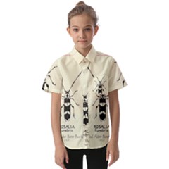 Banded Alder Borer  Kids  Short Sleeve Shirt by Limerence