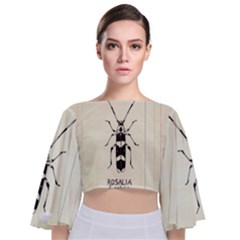 Banded Alder Borer  Tie Back Butterfly Sleeve Chiffon Top