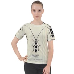 Banded Alder Borer  Women s Sport Raglan Tee