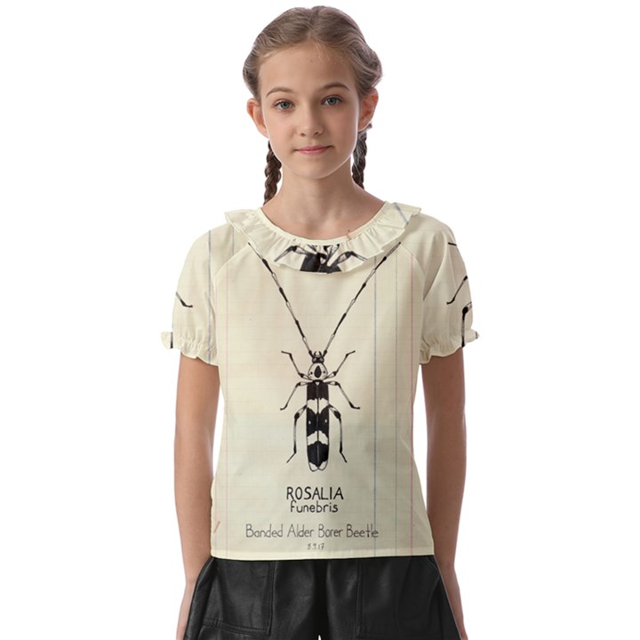 Banded Alder Borer  Kids  Frill Chiffon Blouse