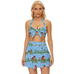 Bullfinches On Spruce Branches Vintage Style Bikini Top And Skirt Set  by SychEva