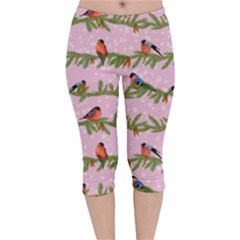 Bullfinches Sit On Branches On A Pink Background Velvet Capri Leggings  by SychEva