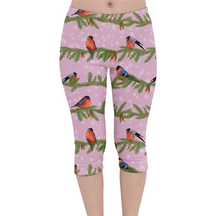 Bullfinches Sit On Branches On A Pink Background Velvet Capri Leggings 