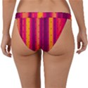 Warped Stripy Dots Band Bikini Bottom View2