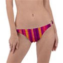 Warped Stripy Dots Ring Detail Bikini Bottom View1