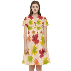 Bright Autumn Leaves Short Sleeve Waist Detail Dress