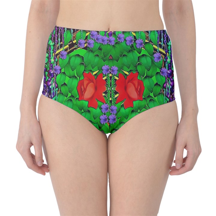 A Island Of Roses In The Calm Sea Classic High-Waist Bikini Bottoms