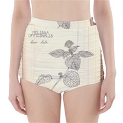 Lemon Balm High-waisted Bikini Bottoms by Limerence