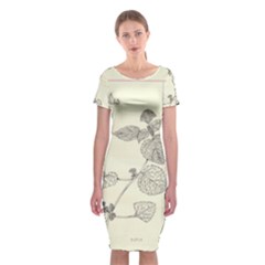 Lemon Balm Classic Short Sleeve Midi Dress by Limerence