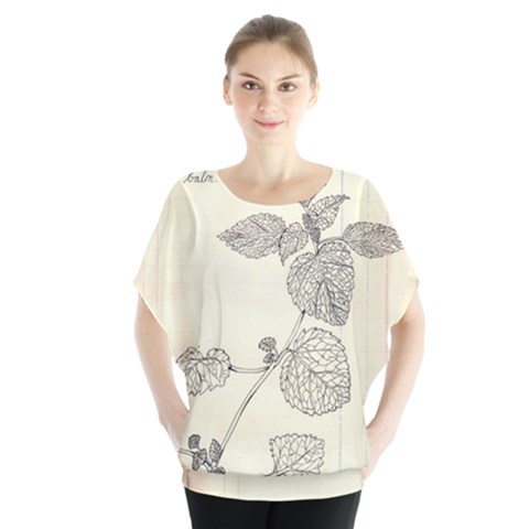 Lemon Balm Batwing Chiffon Blouse by Limerence