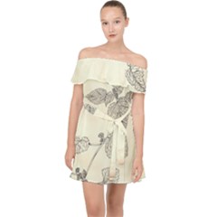 Lemon Balm Off Shoulder Chiffon Dress by Limerence