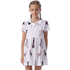 Husky Dogs With Sparkles Kids  Asymmetric Collar Dress