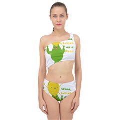 Lemon Over Pear Spliced Up Two Piece Swimsuit by LemonPear