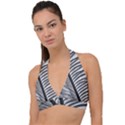 Cycas Leaf The Shadows Halter Plunge Bikini Top View1