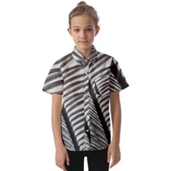 Cycas Leaf The Shadows Kids  Short Sleeve Shirt by DimitriosArt