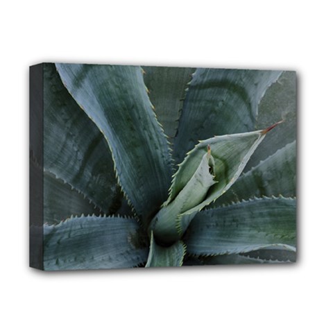 The Agave Heart Under The Light Deluxe Canvas 16  X 12  (stretched)  by DimitriosArt