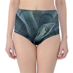 The Agave Heart Under The Light Classic High-waist Bikini Bottoms by DimitriosArt