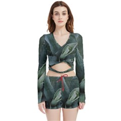 The Agave Heart Under The Light Velvet Wrap Crop Top And Shorts Set by DimitriosArt